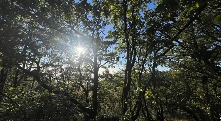 Ferienhaus in Roquecor