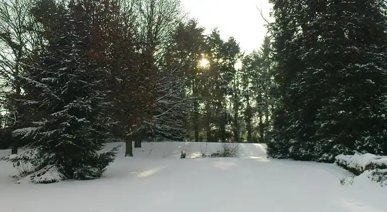 Sommerhus i Châteauneuf-la-Forêt