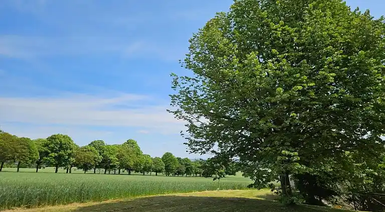 Holiday home in Usseau