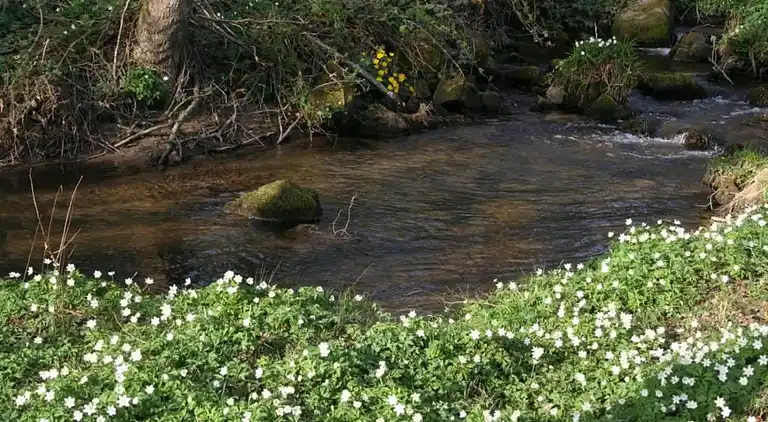 Holiday home in La Haye