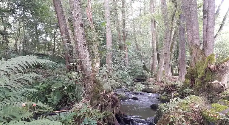 Holiday home in La Haye