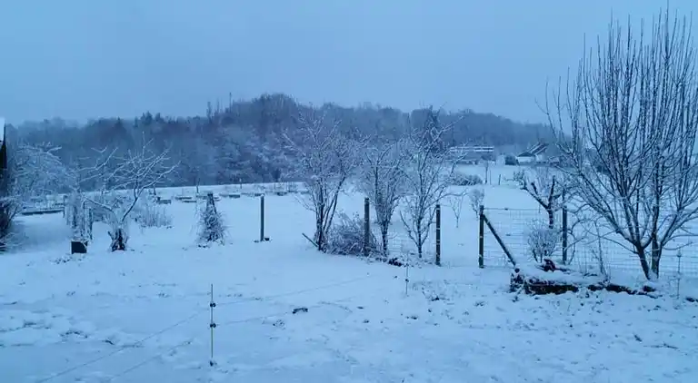 Sommerhus i Châteauneuf-la-Forêt