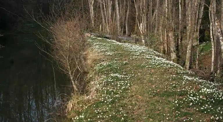 Holiday home in La Haye