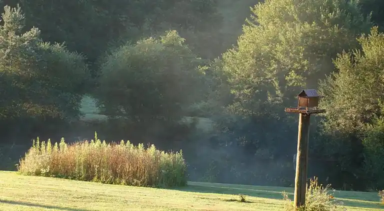 Sommerhus i Châteauneuf-la-Forêt