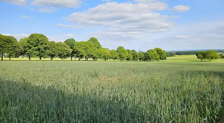 Holiday home in Usseau