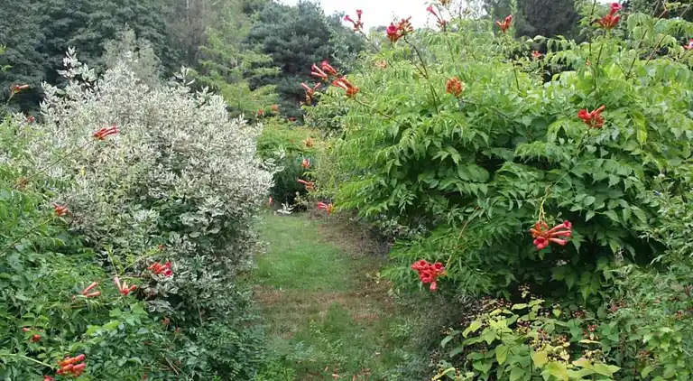 Holiday home in La Haye