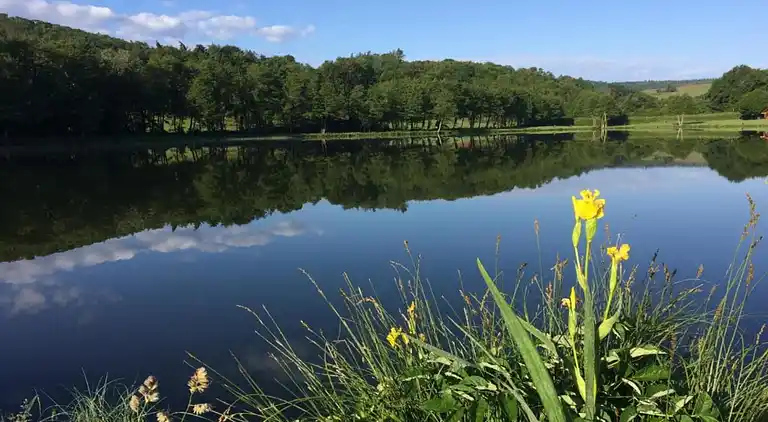 Sommerhus i Châteauneuf-la-Forêt