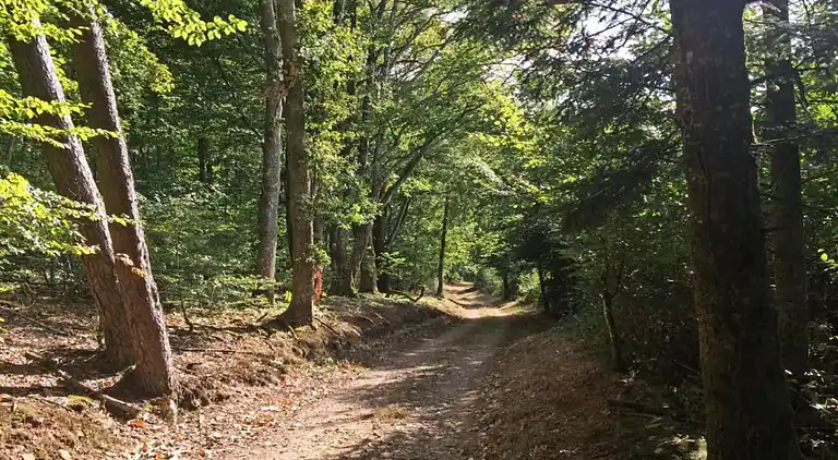 Sommerhus i Châteauneuf-la-Forêt