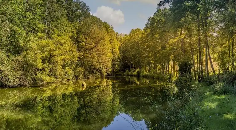 Holiday home in La Haye