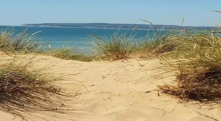 Hytte i Saint Mary in the Marsh