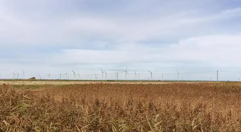 Hytte i Saint Mary in the Marsh