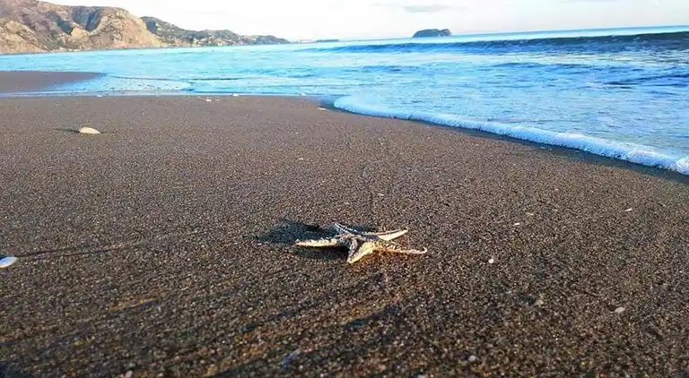 Villa in Koiliomenos