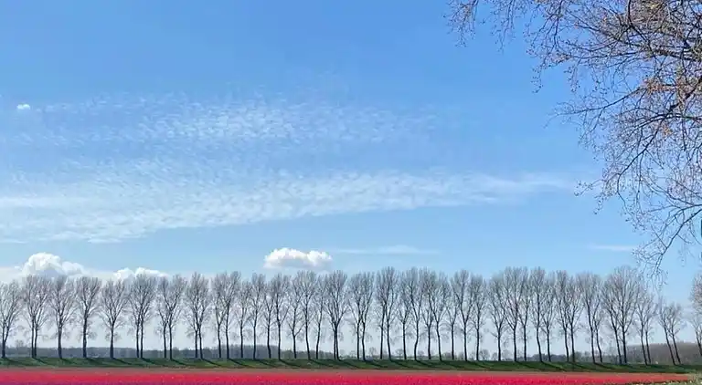 Holiday home in Koewacht