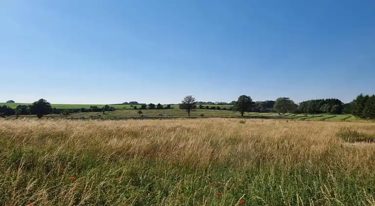 Sommerhus i Robechies