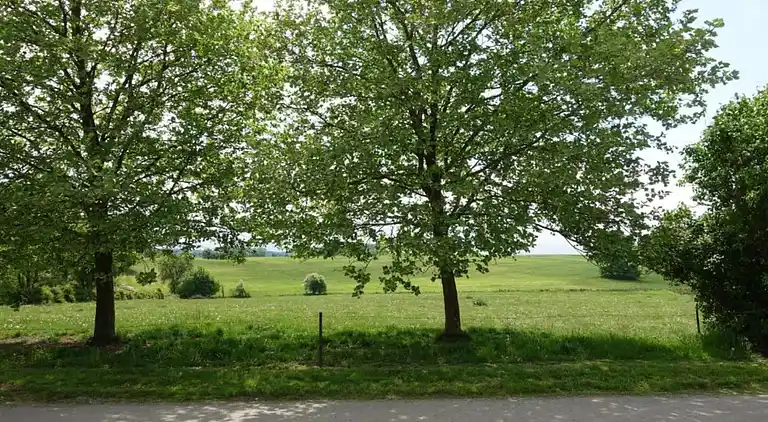 Sommerhus i Robechies