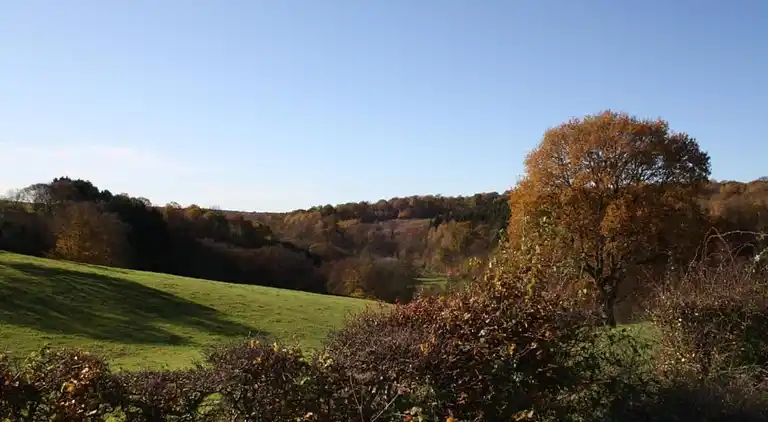 Sommerhus i Robechies