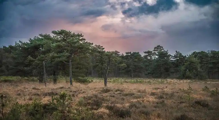 Gårdshus i Fochteloo