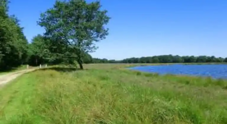 Semesterbostad i Scharsterbrug