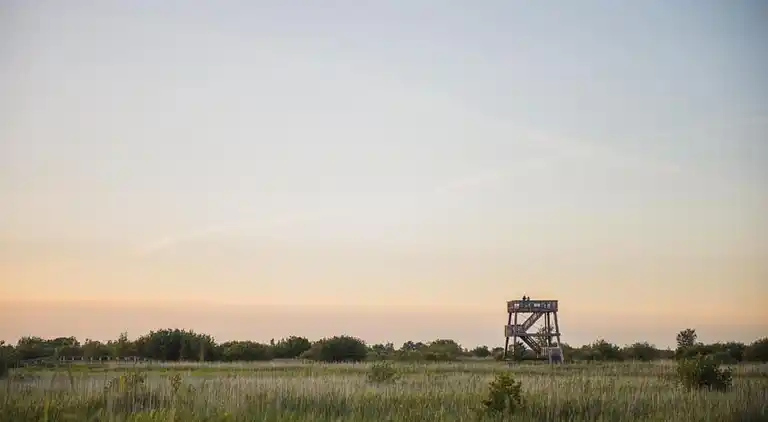 Farm house in Waskemeer