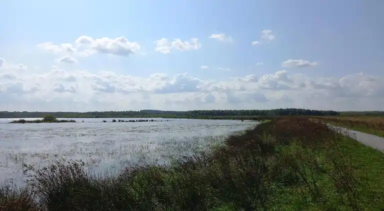 Semesterbostad i Scharsterbrug