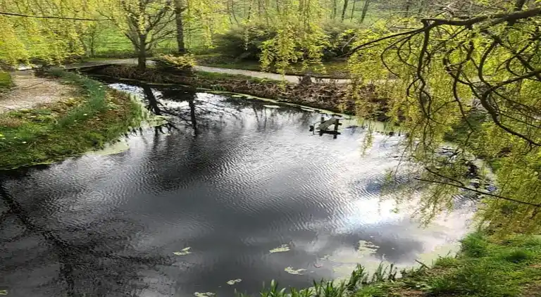 Gårdshus i Fochteloo