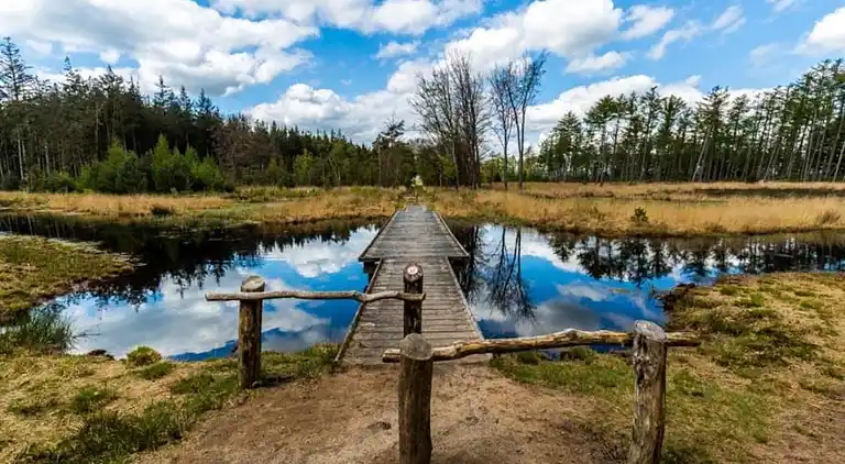 Gårdshus i Fochteloo