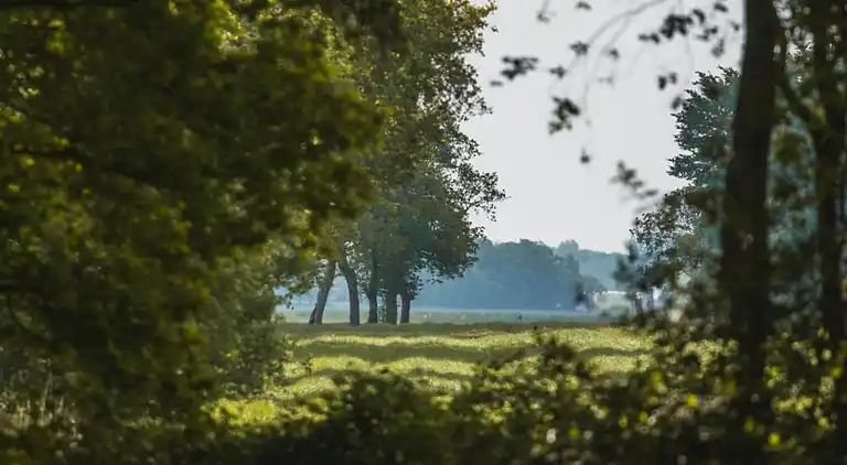 Farm house in Waskemeer