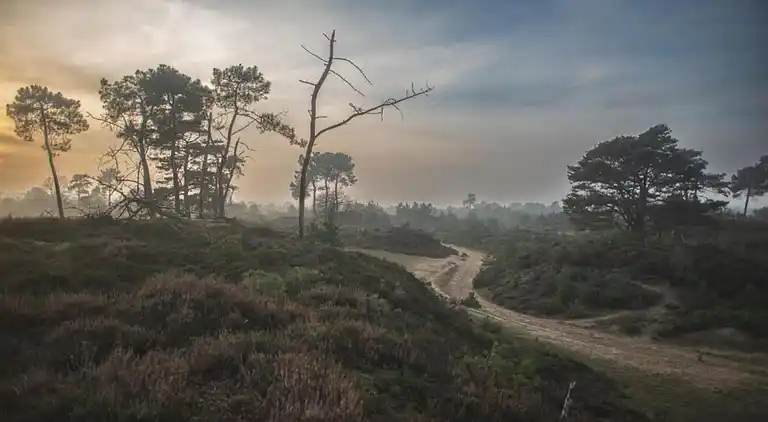 Semesterbostad i Scharsterbrug