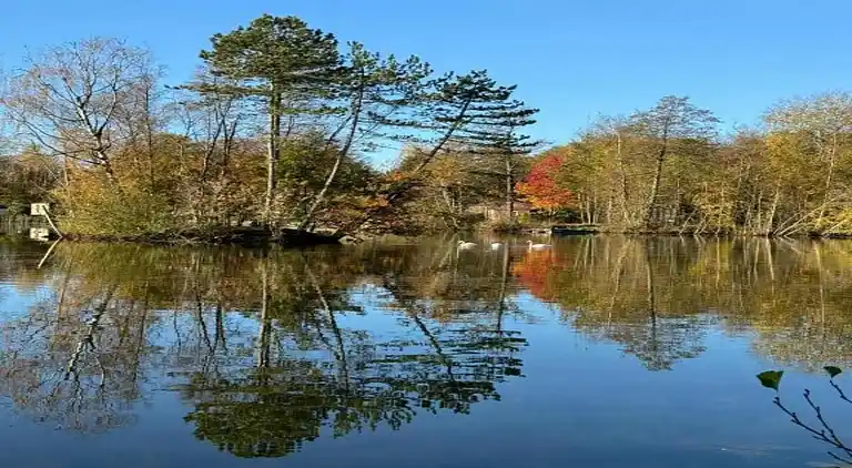 Holiday home in Appelscha