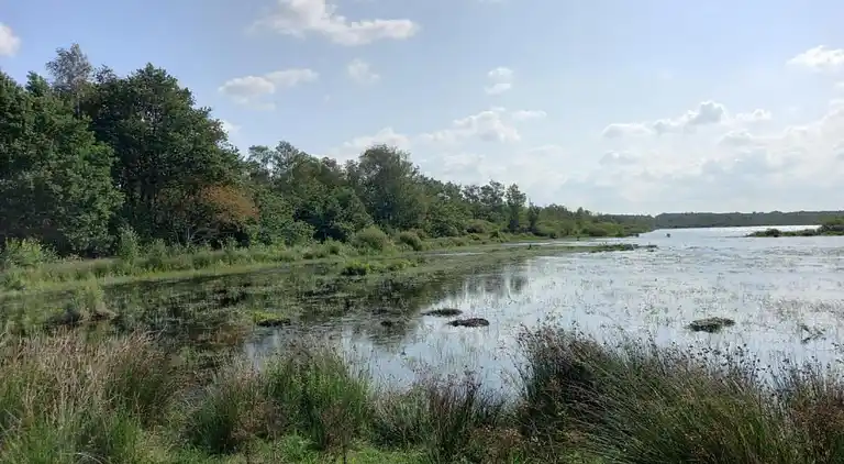 Semesterbostad i Scharsterbrug