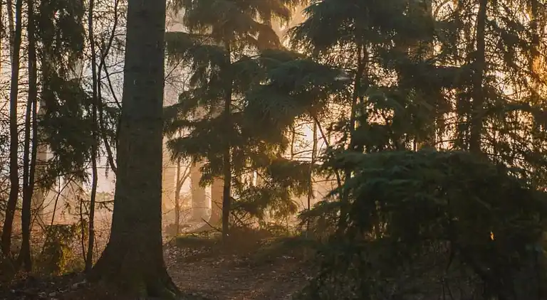 Holiday home in Appelscha