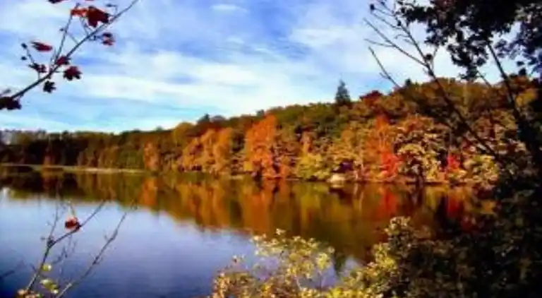 Sommerhus i Černčice