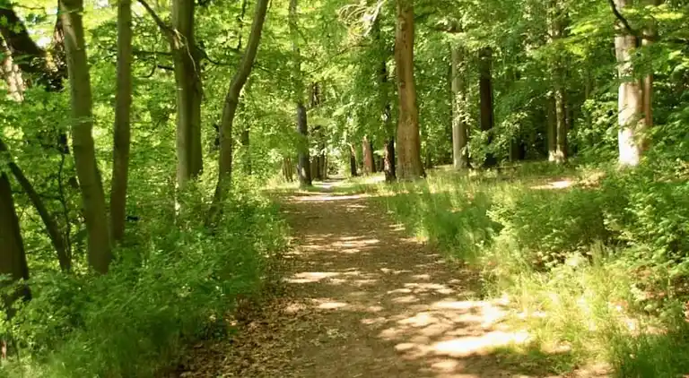 Sommerhus i Černčice
