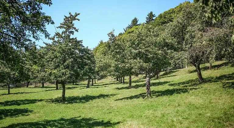 Sommerhus i Černčice