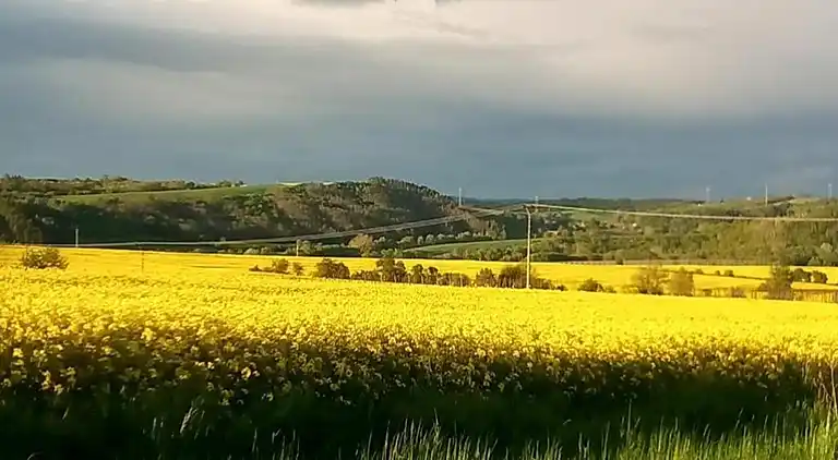 Sommerhus i Černčice