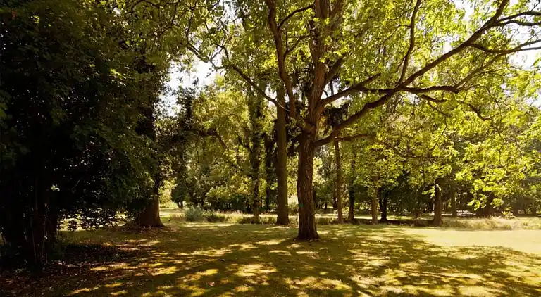 Holiday home in Meseberg