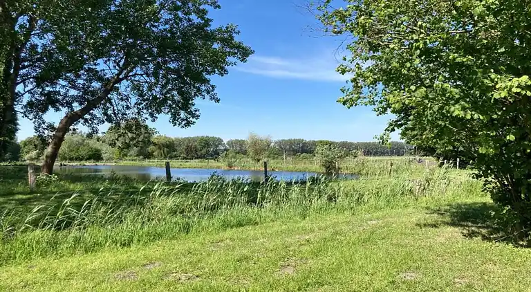 Holiday home in Meseberg