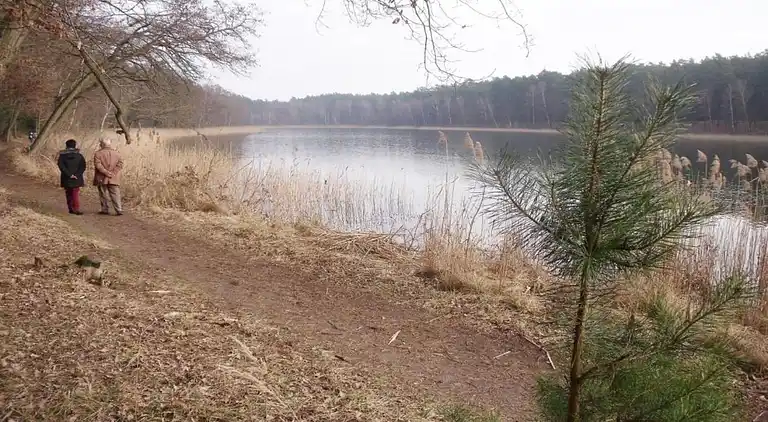 Holiday home in Meseberg