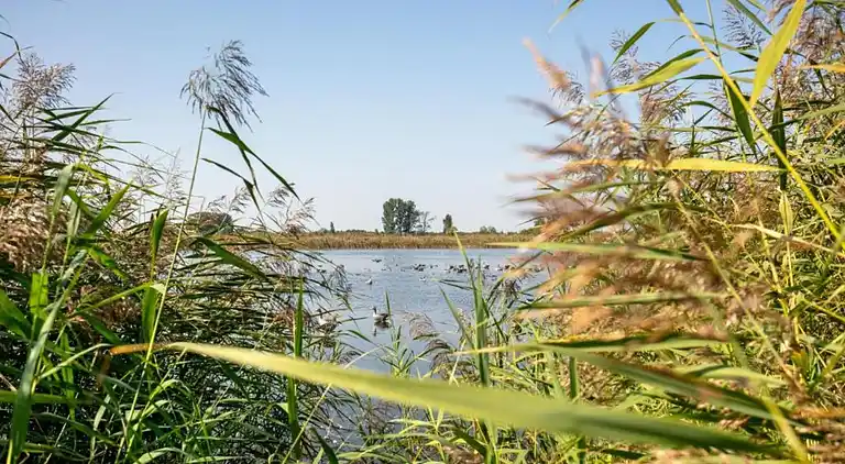 Holiday home in Meseberg