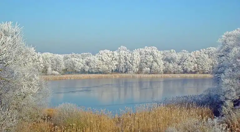 Holiday home in Meseberg