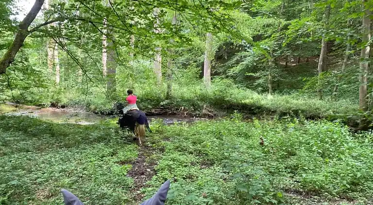 Ferienwohnung in Lothe