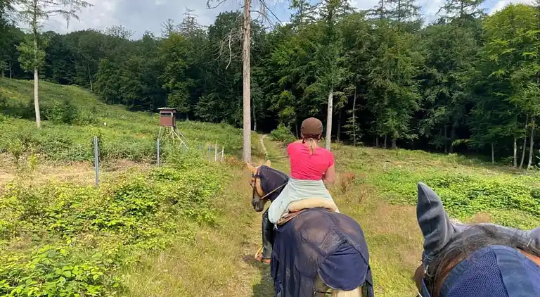 Ferienwohnung in Lothe