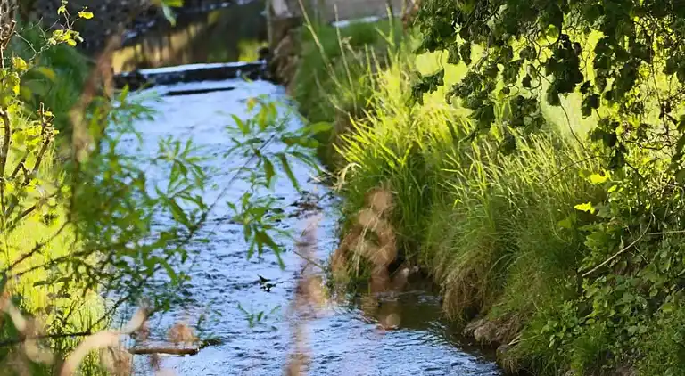 Ferienwohnung in Lothe