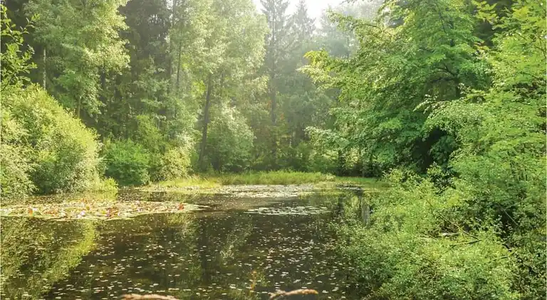 Ferienwohnung in Lothe