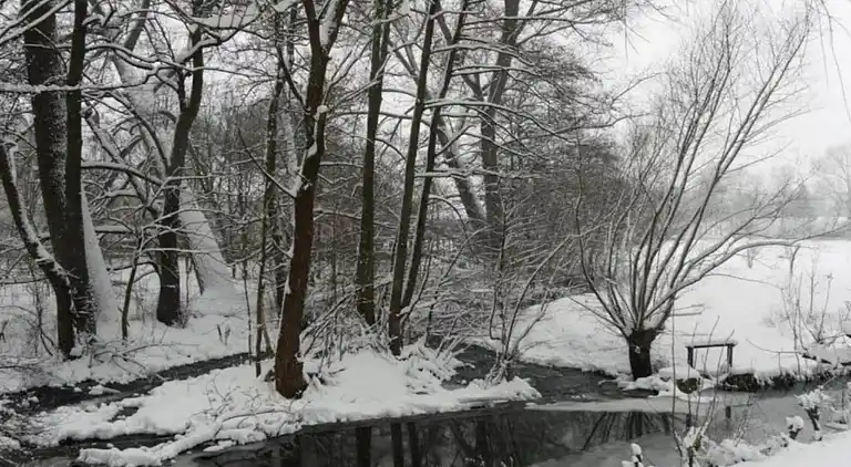 Ferielejlighed i Merlsheim