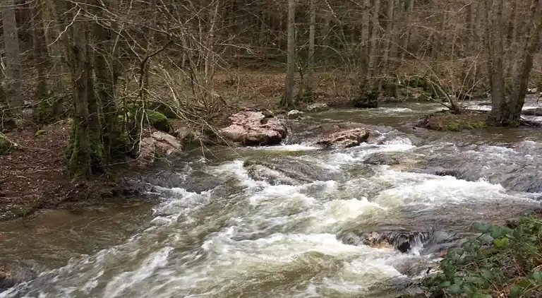 Ferielejlighed i Morscheid-Riedenburg