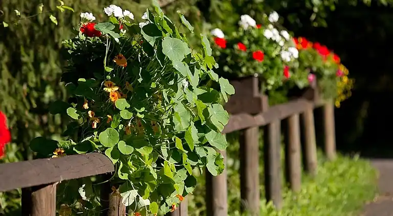 Ferielejlighed i Dingdorf