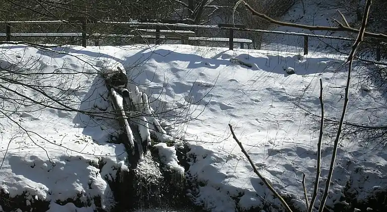 Ferielejlighed i Dingdorf