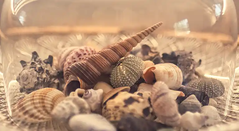 Sommerhaus am Strand und in Nähe von Gilleleje