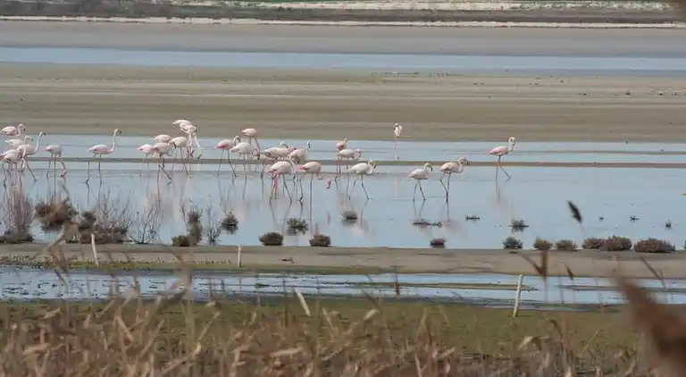 Villa in Venta De La Leche